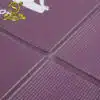 Folding Yoga Pvc Mat-4