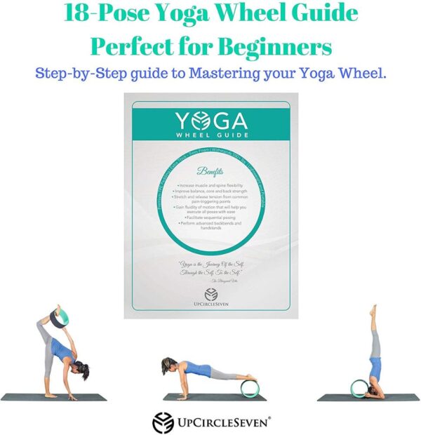 High Quality Yoga Wheel-5