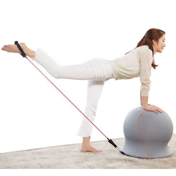 Yoga Ball-4